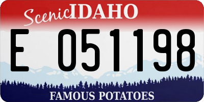 ID license plate E051198