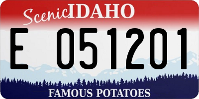 ID license plate E051201