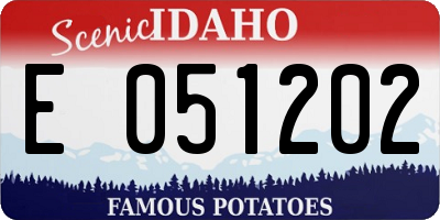 ID license plate E051202