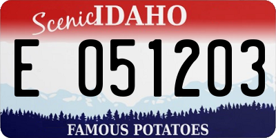 ID license plate E051203