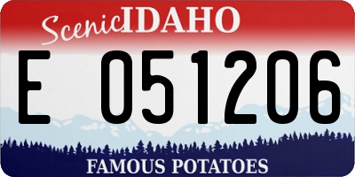 ID license plate E051206