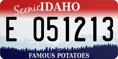 ID license plate E051213