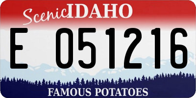 ID license plate E051216