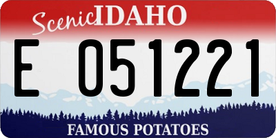 ID license plate E051221
