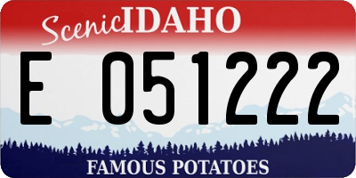 ID license plate E051222