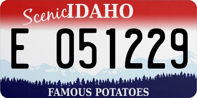 ID license plate E051229