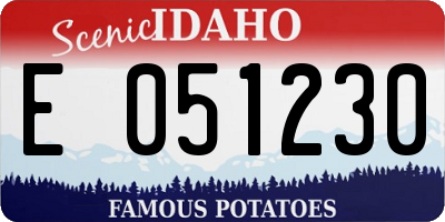 ID license plate E051230
