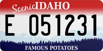 ID license plate E051231