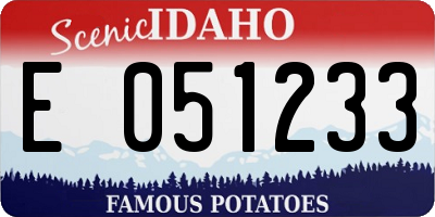 ID license plate E051233
