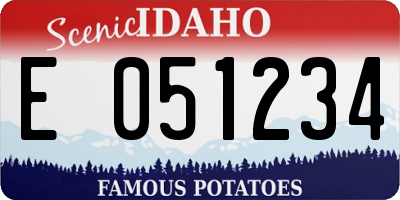 ID license plate E051234