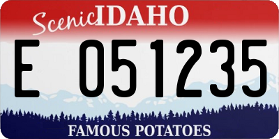 ID license plate E051235