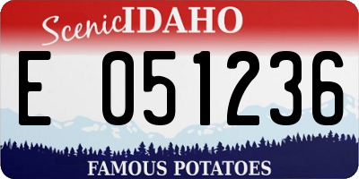 ID license plate E051236