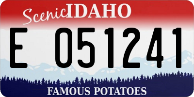 ID license plate E051241