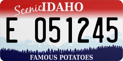 ID license plate E051245