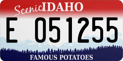 ID license plate E051255
