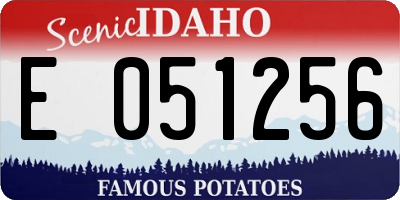 ID license plate E051256