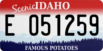 ID license plate E051259