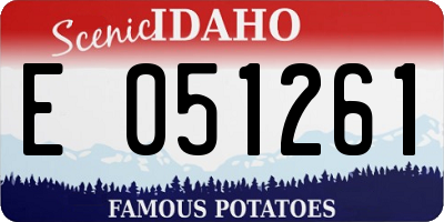ID license plate E051261