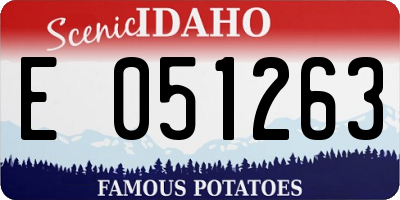 ID license plate E051263