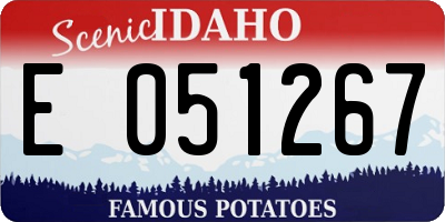 ID license plate E051267