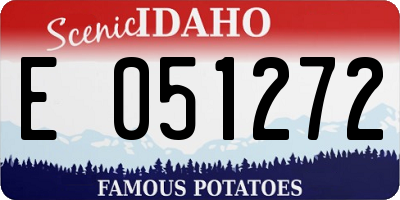 ID license plate E051272