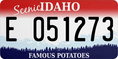 ID license plate E051273