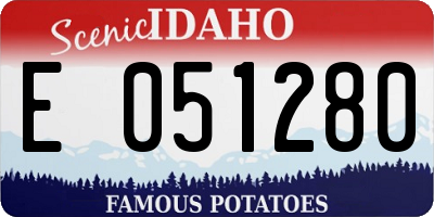 ID license plate E051280