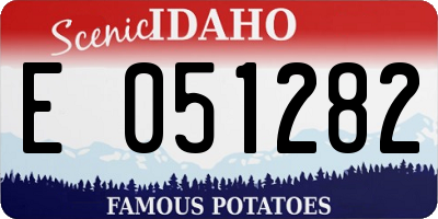 ID license plate E051282