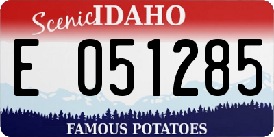 ID license plate E051285