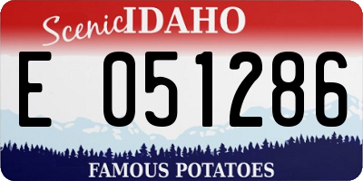 ID license plate E051286