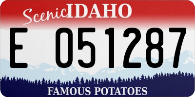 ID license plate E051287