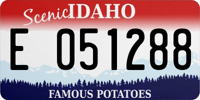 ID license plate E051288