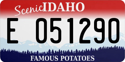 ID license plate E051290