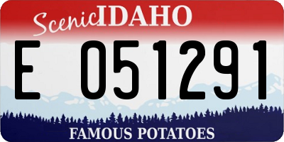 ID license plate E051291