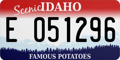 ID license plate E051296