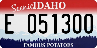 ID license plate E051300