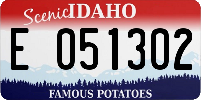 ID license plate E051302