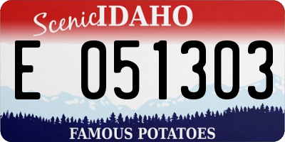ID license plate E051303