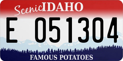 ID license plate E051304