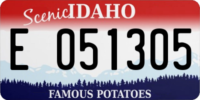 ID license plate E051305