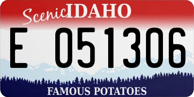 ID license plate E051306
