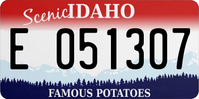 ID license plate E051307