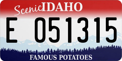 ID license plate E051315