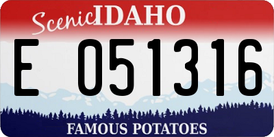 ID license plate E051316