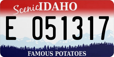 ID license plate E051317