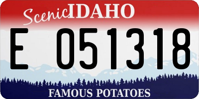 ID license plate E051318