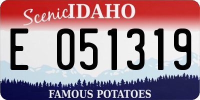 ID license plate E051319