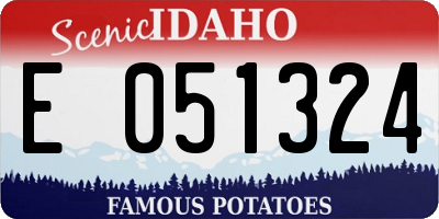 ID license plate E051324