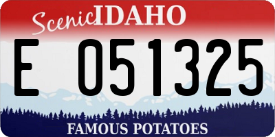 ID license plate E051325