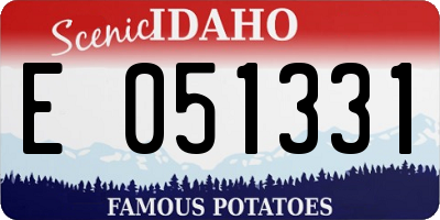ID license plate E051331